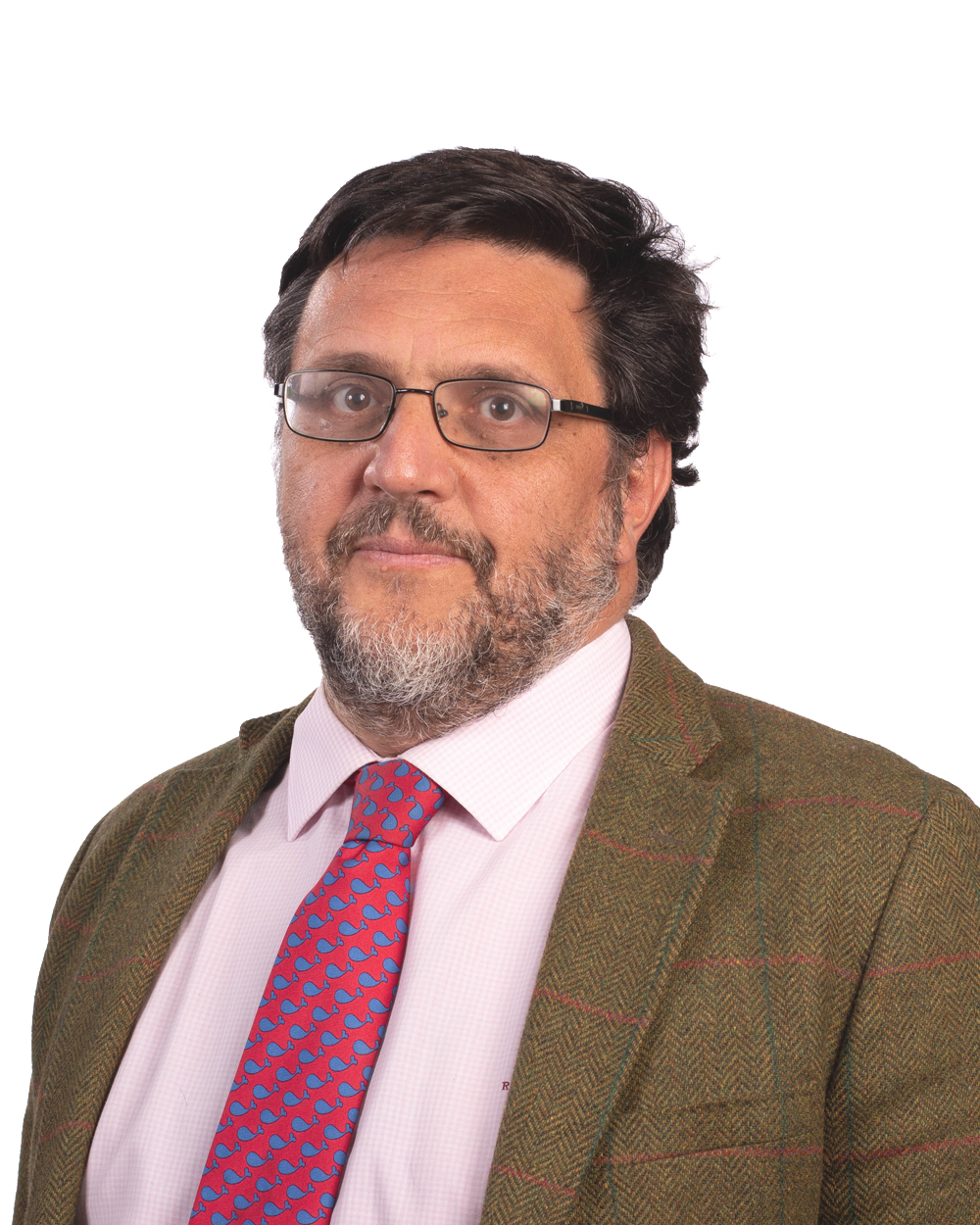 Rafael Rubio Núñez
